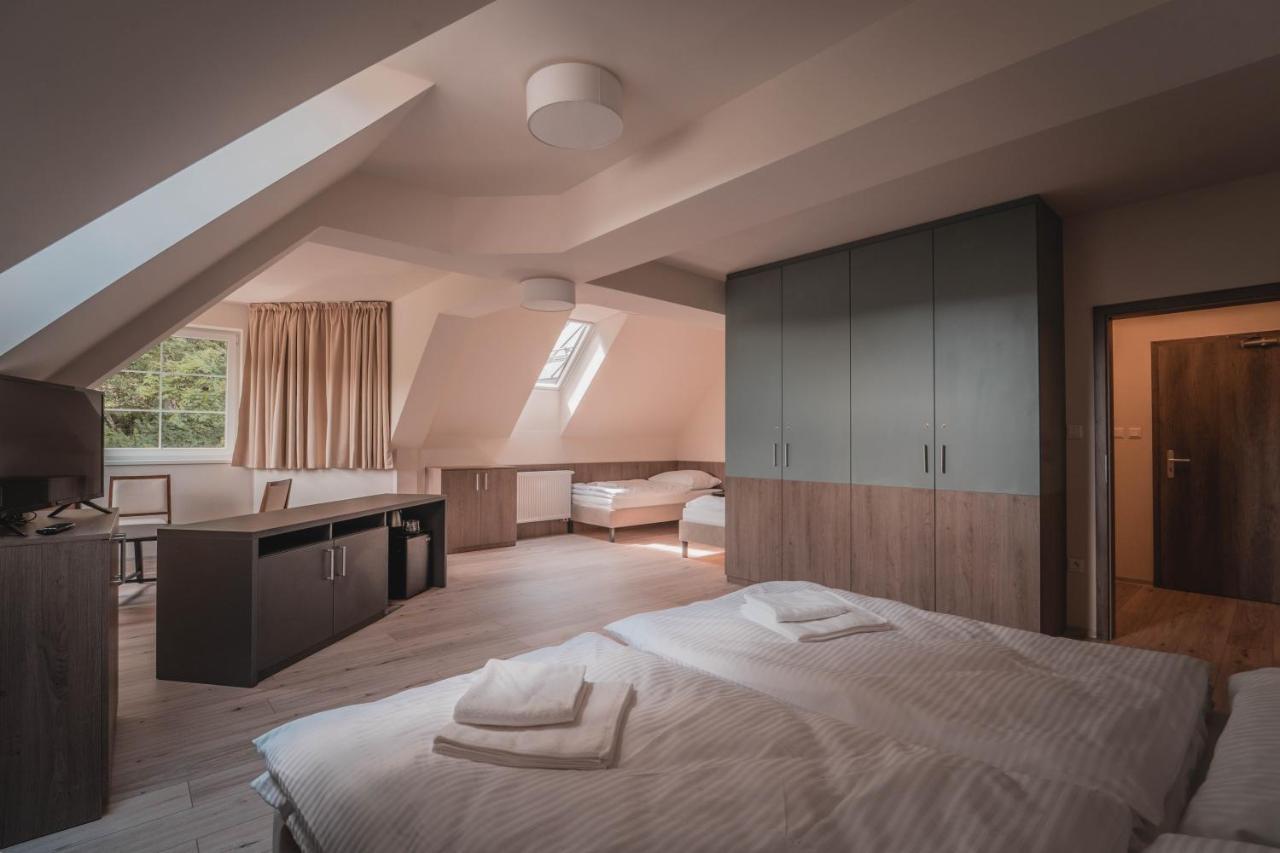 Wellness Penzion Smerdzonka - Kupele Pieniny Cerveny Klastor Exterior photo