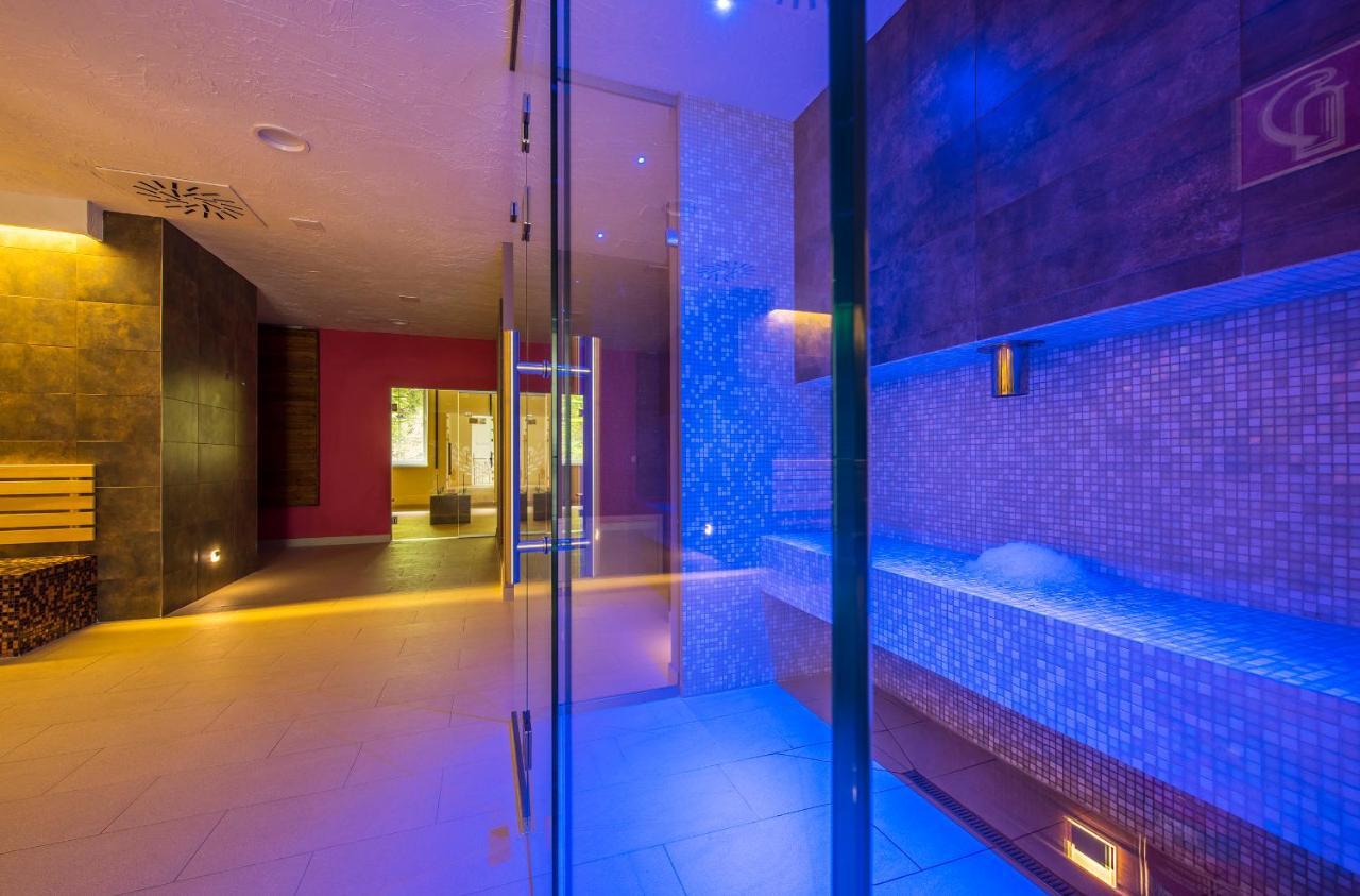 Wellness Penzion Smerdzonka - Kupele Pieniny Cerveny Klastor Exterior photo